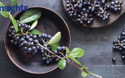 [Blog] A Holistic Approach to Reclaim Your Vitality