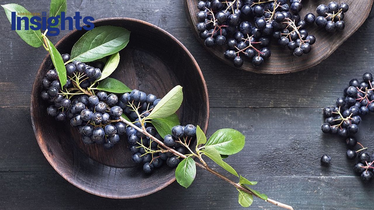 blog a holistic approach to reclaim your vitality