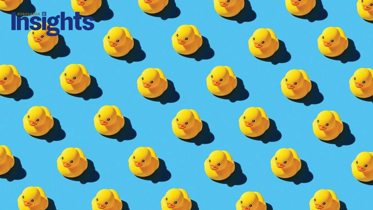 20250108_getting-all-your-ducks-in-a-row getting all your ducks in a row